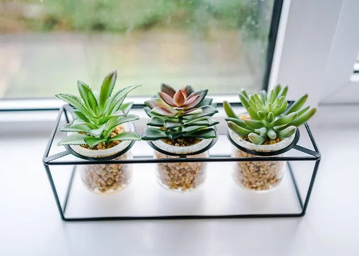 Casa de Férias Charming And Modern 3br Steps Away From Center *