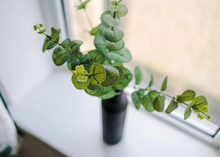 Charming And Modern 3br Steps Away From Center *