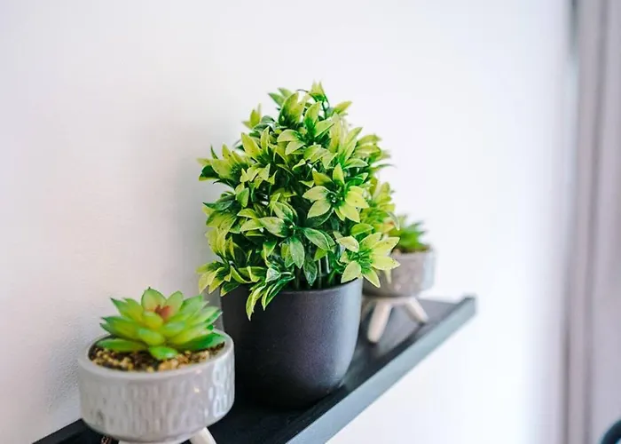 Charming And Modern 3br Steps Away From Center Semesterbostad *