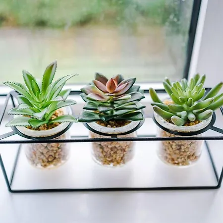 בית נופש Charming And Modern 3br Steps Away From Center *