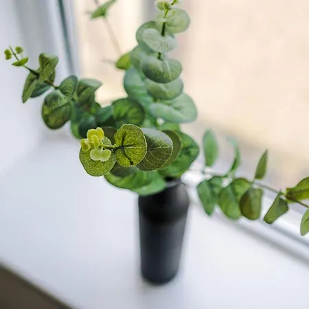 Charming And Modern 3br Steps Away From Center *