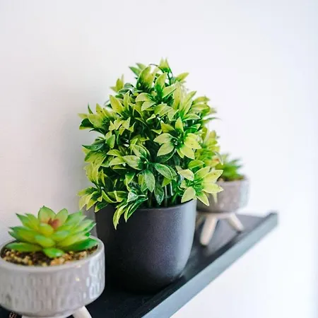 Charming And Modern 3br Steps Away From Center Ferienhaus *