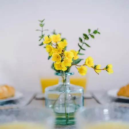 Ferienhaus Charming And Modern 3br Steps Away From Center